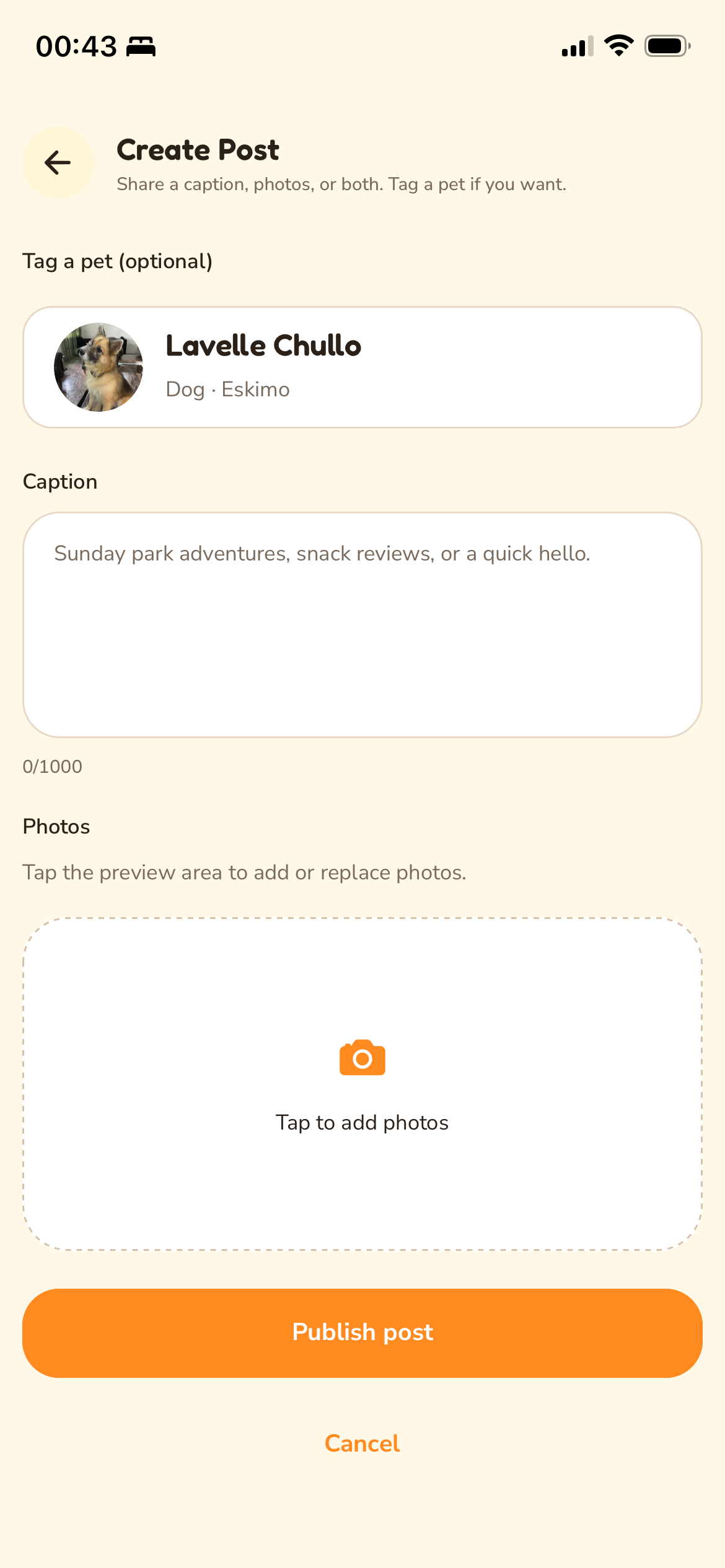 Petizzy create post screen